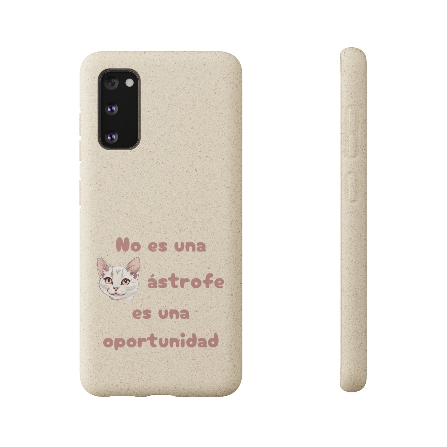 No es catástrofe, es oportunidad :3
