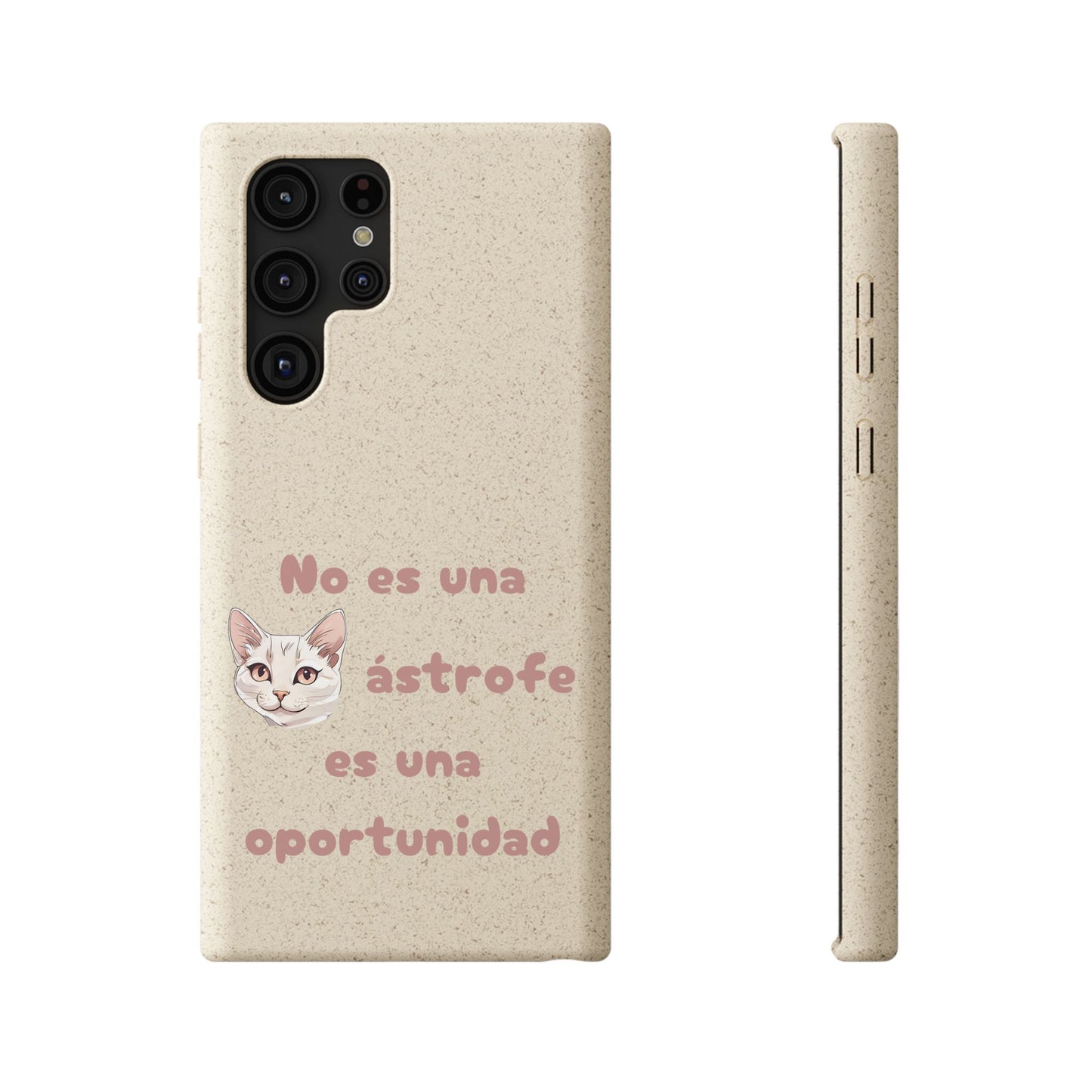 No es catástrofe, es oportunidad :3