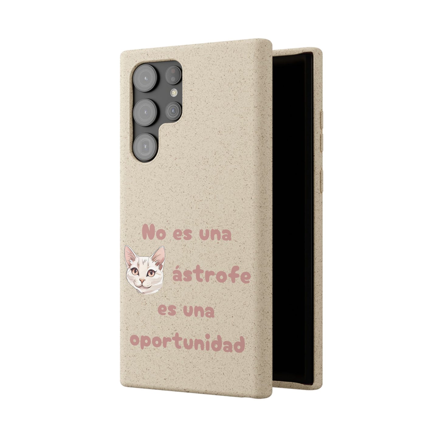 No es catástrofe, es oportunidad :3