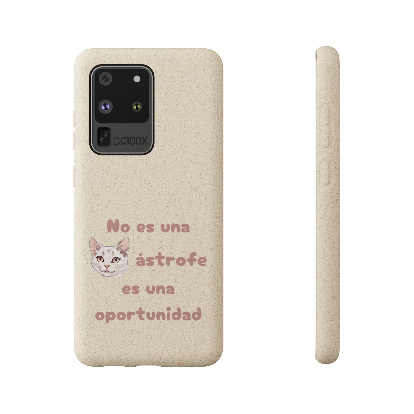 No es catástrofe, es oportunidad :3