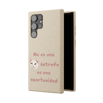 No es catástrofe, es oportunidad :3