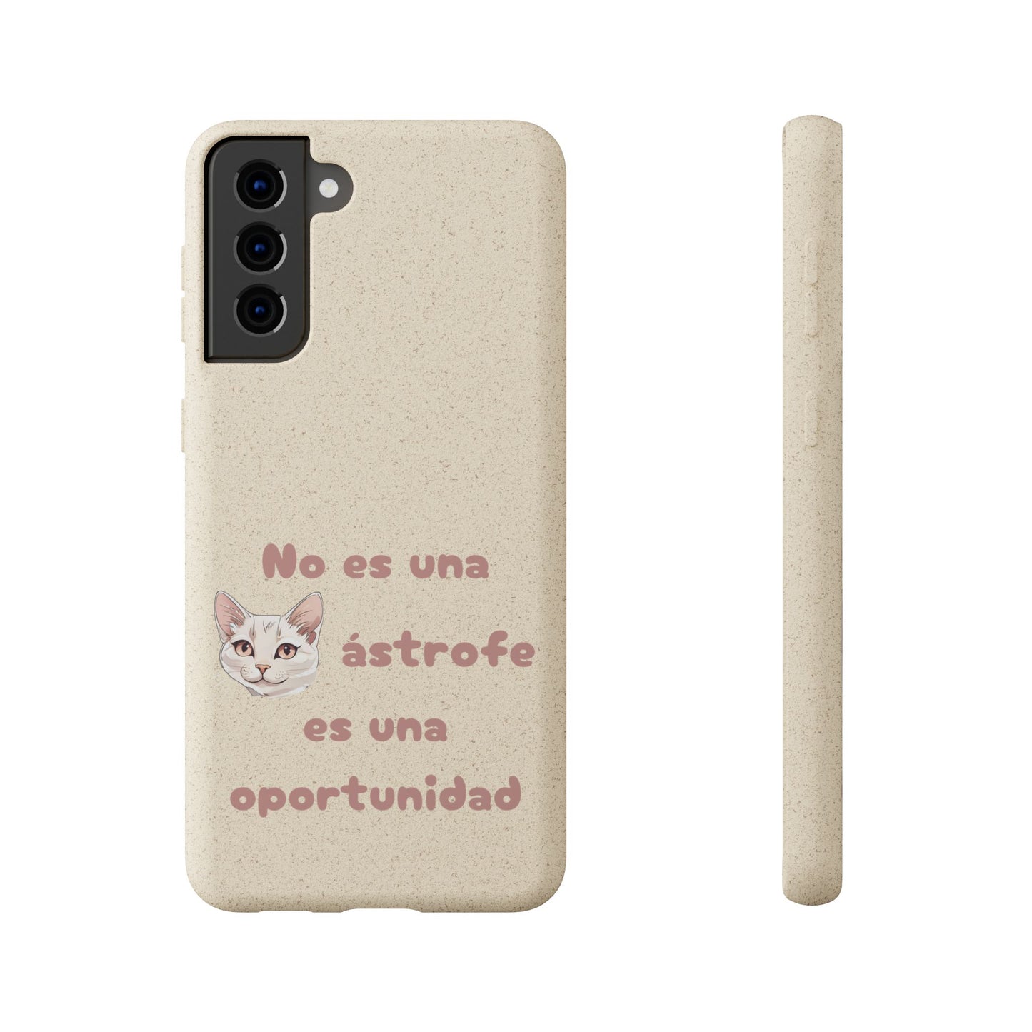 No es catástrofe, es oportunidad :3