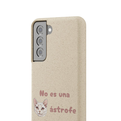 No es catástrofe, es oportunidad :3