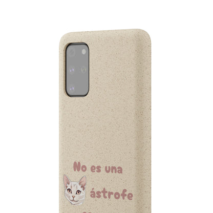 No es catástrofe, es oportunidad :3