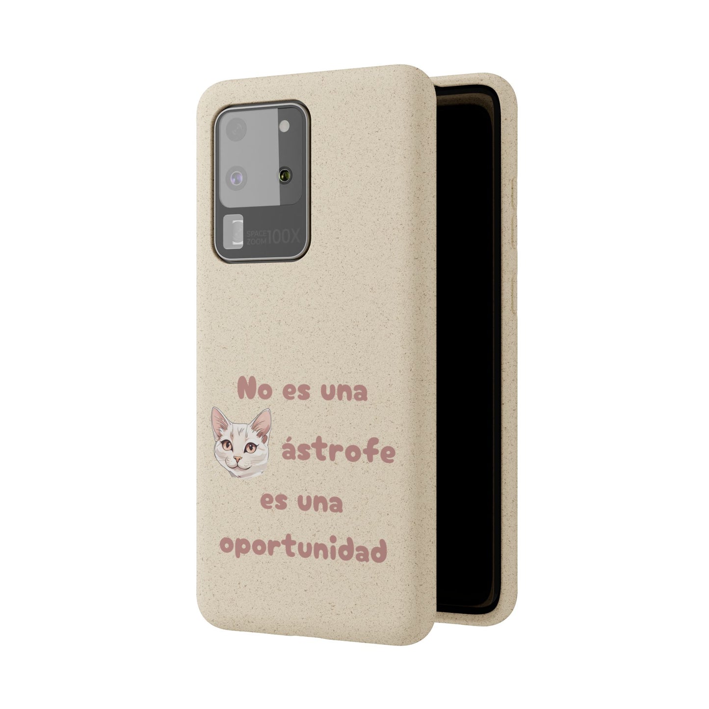 No es catástrofe, es oportunidad :3