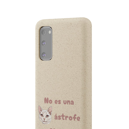 No es catástrofe, es oportunidad :3