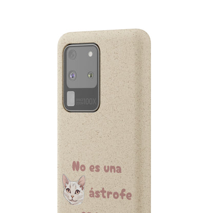 No es catástrofe, es oportunidad :3